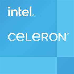 Procesor Intel G6900 
