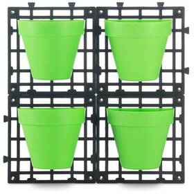  Delimano WALL GREEN 

