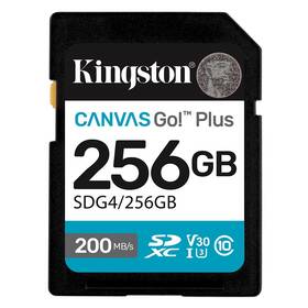 Pamäťová karta Kingston SDXC 256GB U3 UHS-I (200R/160W) 

