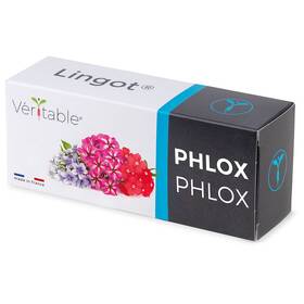 Semienka Véritable Lingot Flox 

