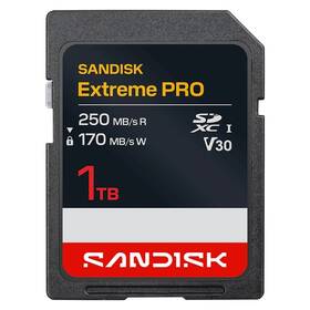 Pamäťová karta SANDISK 1TB UHS-I U3 (250R/170W) 

