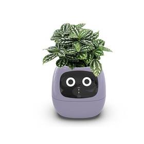 Inteligentný kvetináč Plantsio IVY fialový

