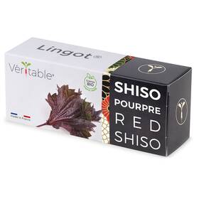 Semienka Véritable Lingot Fialový shiso - BIO 

