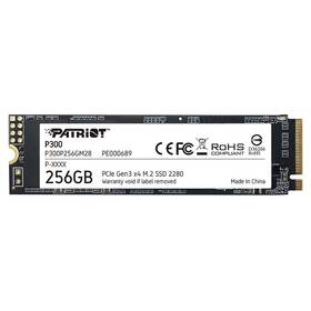 SSD Patriot P300 256GB 

