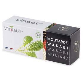 Semienka Véritable Lingot Wasabi horčica listová - BIO 

