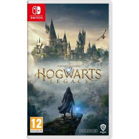 Hra Warner Bros Nintendo Switch Hogwarts Legacy (Code in a box) 

