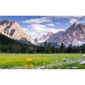 Vôňa do vysávača Ak AV 1 
