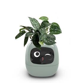 Inteligentný kvetináč Plantsio IVY zelený

