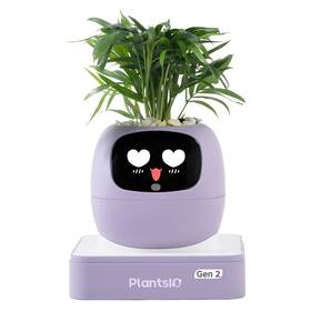 Inteligentný kvetináč Plantsio IVY generácia 2 fialový

