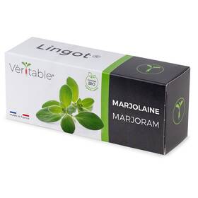Semienka Véritable Lingot Majoránka - BIO 

