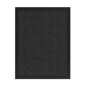Filter Tesla Smart Pro L Carbon 

