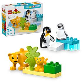 Stavebnica LEGO® DUPLO® 10442 Rodinky divokých zvierat: Tučniaky a levy 

