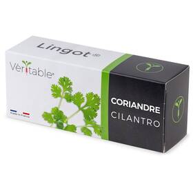 Semienka Véritable Lingot Koriander 

