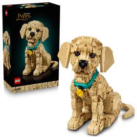 Stavebnica LEGO® Icons 11384 Štěně zlatého retrívra 

