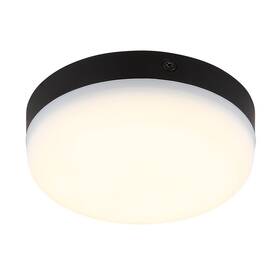 LED stropné svietidlo GLOBO MATTHEW 123878 čierne

