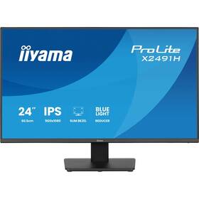 Monitor IIYAMA ProLite X2491H-B1 čierny

