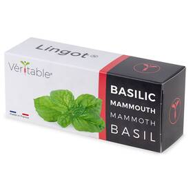 Semienka Véritable Lingot Bazalka mamutie 

