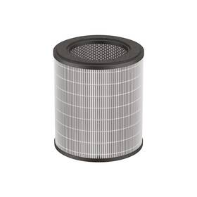 Filter Rowenta XD6280F0 

