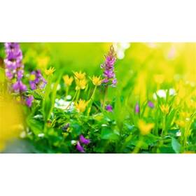 Vôňa do vysávača Ak AV MIX2 
