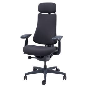 Ergonomická stolička LiberNovo Omni, 48 cm čierna

