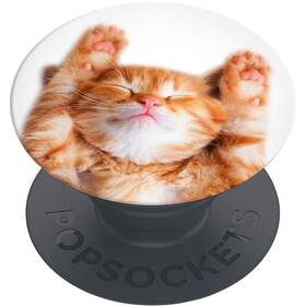 Držiak PopSockets PGB SNOOZY CAT 

