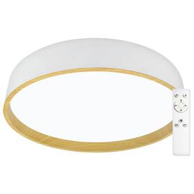 LED stropné svietidlo Top Light Dekor 40B RC biele

