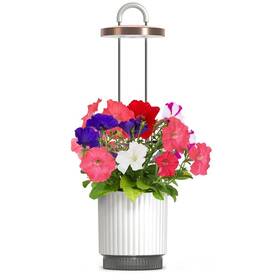 Inteligentný kvetináč Click and Grow HydroVase biely

