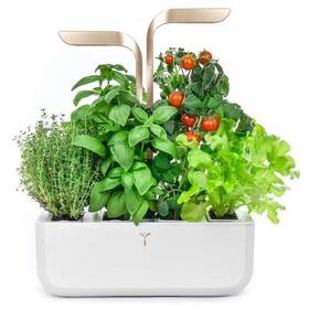 Inteligentný kvetináč Véritable CONNECT biely

