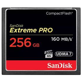 Pamäťová karta SANDISK 256 GB (160R/150W) 

