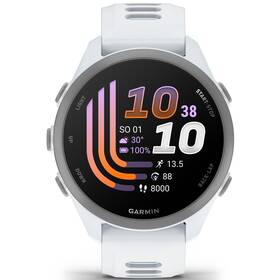 Inteligentné hodinky Garmin Forerunner 170 sivé/modré

