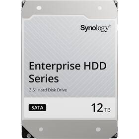 Pevný disk 3,5" Synology HAT5300 12TB 

