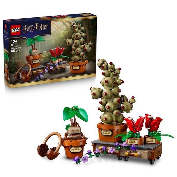 Stavebnica LEGO® Harry Potter™ 76474 Rostliny z hodiny bylinkářství v Bradavicích 

