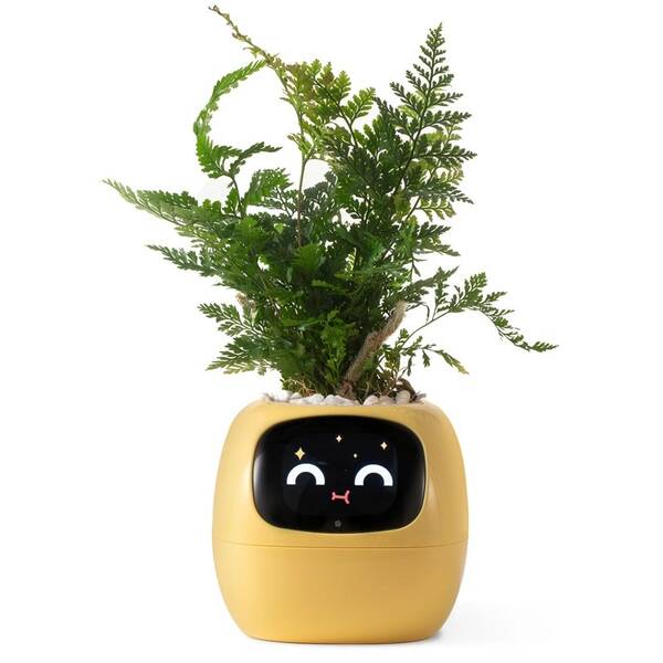 Inteligentný kvetináč Plantsio IVY žltý

