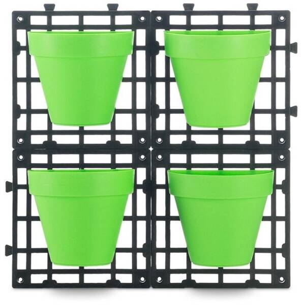  Delimano WALL GREEN 

