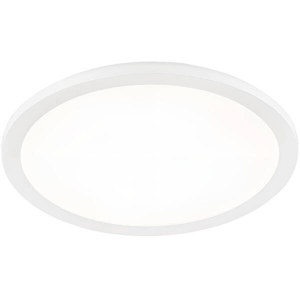 LED stropné svietidlo Reality Camillus, 22 W, okrúhle biele

