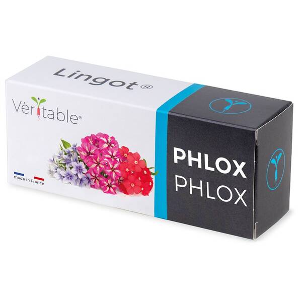 Semienka Véritable Lingot Flox 

