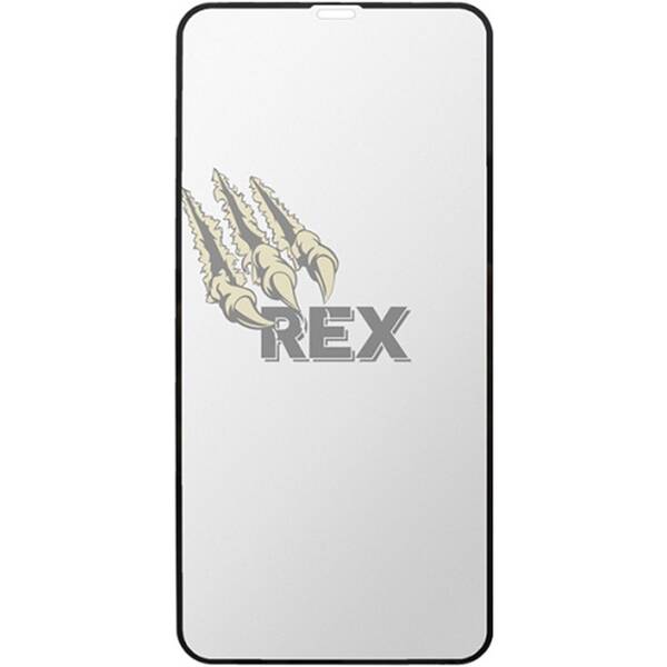 Tvrdené sklo Sturdo MATT IPHONE X BLK 


