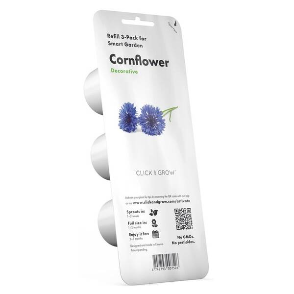 Semienka Click and Grow Chrpa modrá (3 ks) 

