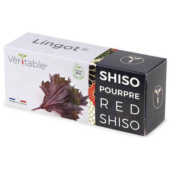 Semienka Véritable Lingot Fialový shiso - BIO 

