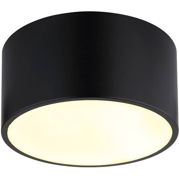 LED stropné svietidlo GLOBO Raymond, 12 W čierne

