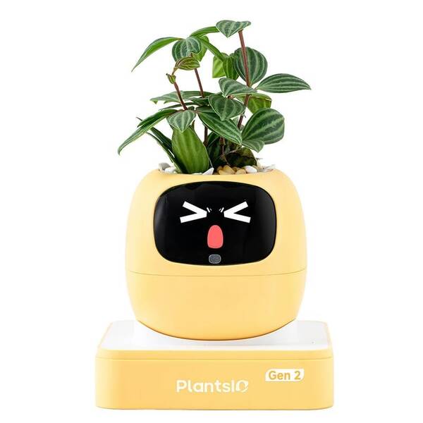 Inteligentný kvetináč Plantsio IVY generácia 2 žltý

