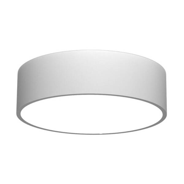 LED stropné svietidlo IMMAX NEO RONDATE SLIM SMART, 25 cm, 18W, Zigbee 3.0, TUYA biele


