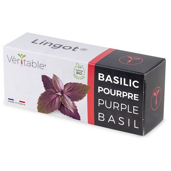 Semienka Véritable Lingot Fialová bazalka - BIO 

