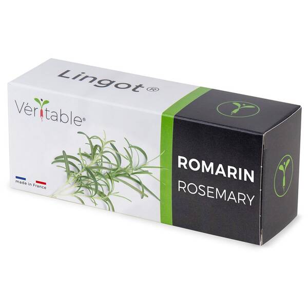 Semienka Véritable Lingot Rozmarín 

