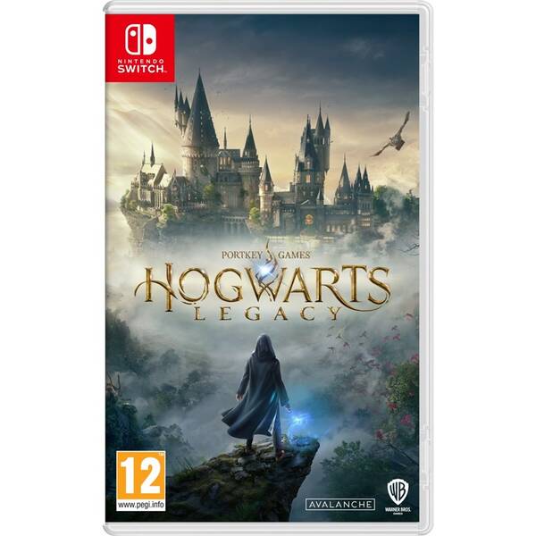 Hra Warner Bros Nintendo Switch Hogwarts Legacy (Code in a box) 

