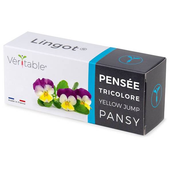 Semienka Véritable Lingot Maceška - BIO 

