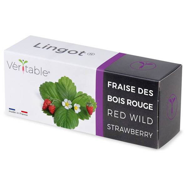 Semienka Véritable Lingot Divoké červené jahody 

