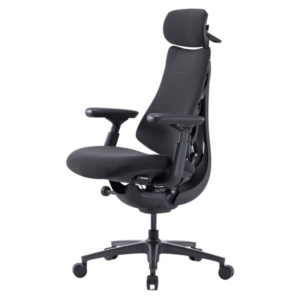 Ergonomická stolička LiberNovo Omni Pro Graphite, 48cm 

