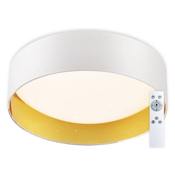 LED stropné svietidlo Top Light Ivona 40B RC biele

