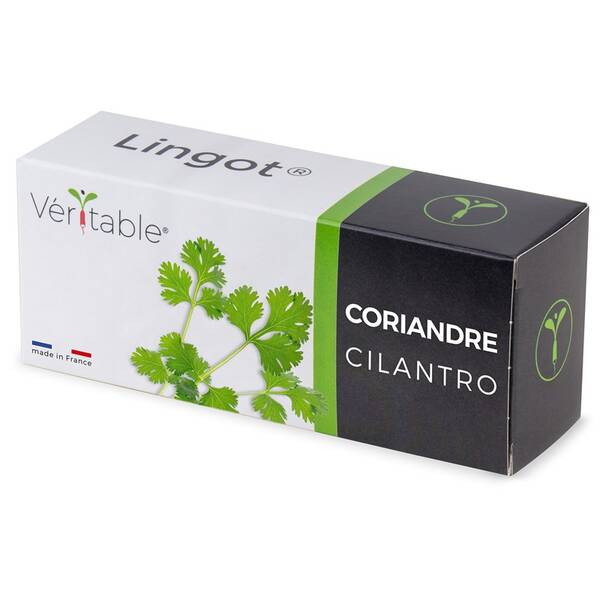 Semienka Véritable Lingot Koriander 


